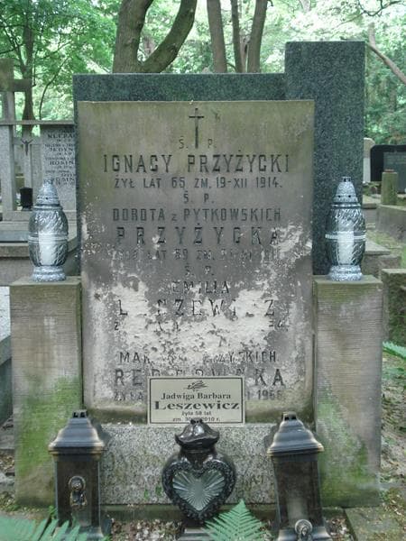 Zdjęcie grobu Emilia Leszewicz (1)