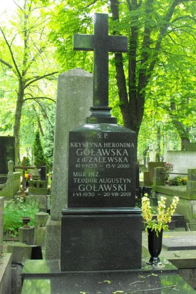 Zdjęcie grobu Teodor Augustyn Goławski (2)