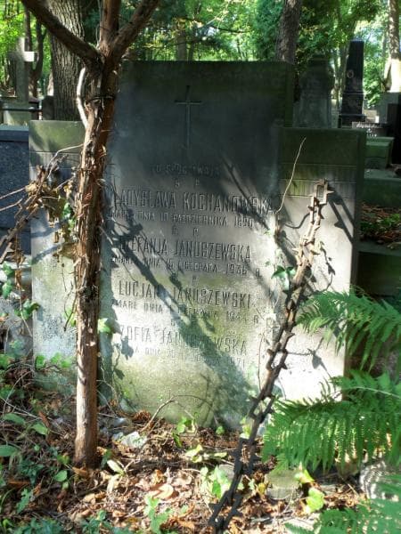 Zdjęcie grobu Lucjan Januszewski (2)