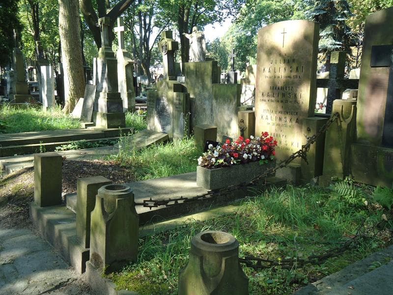 Zdjęcie grobu Jadwiga Tkaczyk (1)