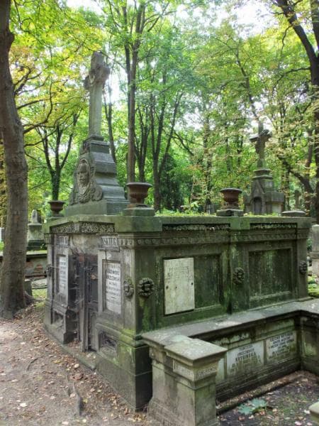 Zdjęcie grobu Stanisław Brzeziński (1)