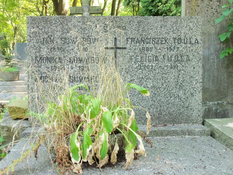 Zdjęcie grobu Franciszek Toula (2)