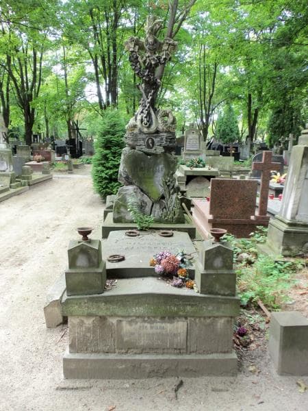 Zdjęcie grobu: Albin Lubicz - Zaleski