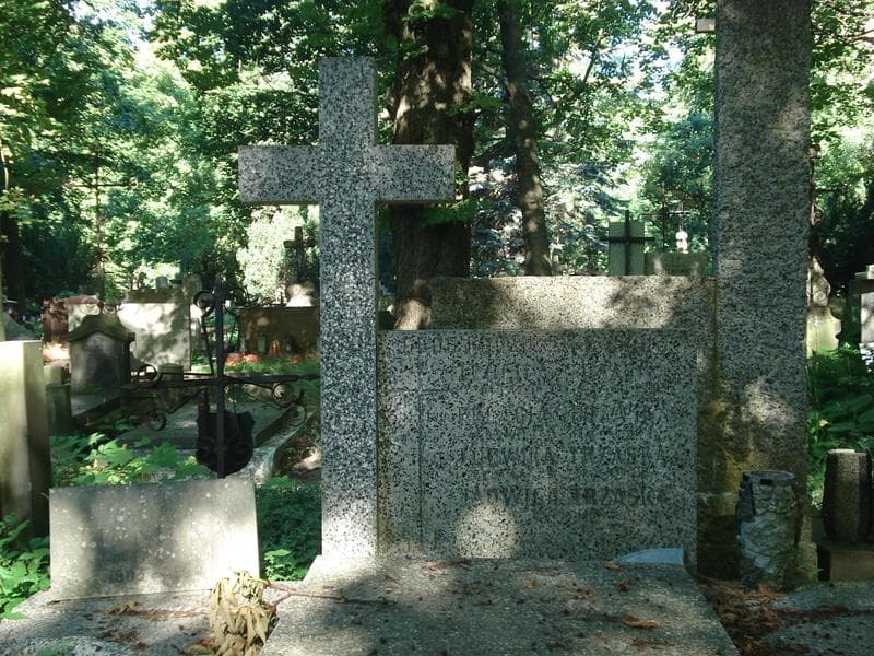 Zdjęcie grobu Teofila Trzaska (1)