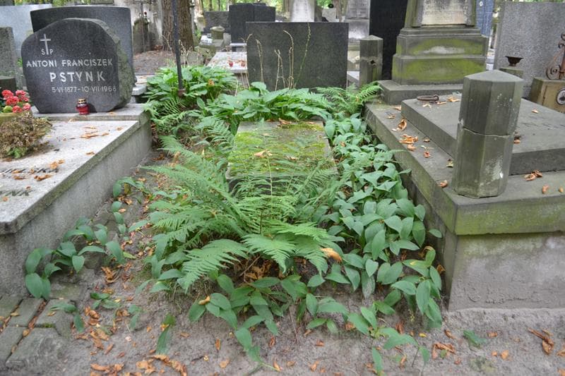 Zdjęcie grobu Włodzimierz Gołaszewski (1)