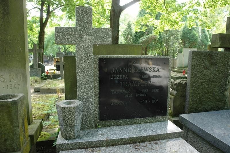 Zdjęcie grobu Józefa Jasnorzewska (2)