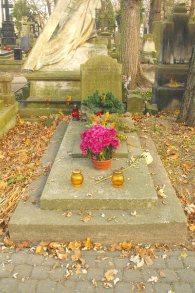 Zdjęcie grobu: Leon Gołębiowski