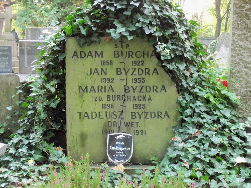 Zdjęcie grobu Jan Byzdra (2)