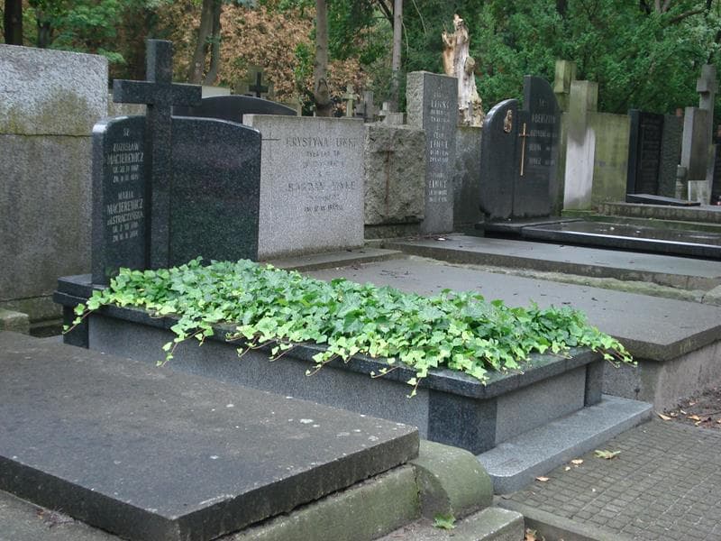 Zdjęcie grobu Maria Macierewicz (1)