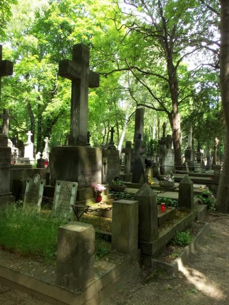 Zdjęcie grobu Tomasz Przesmycki (1)