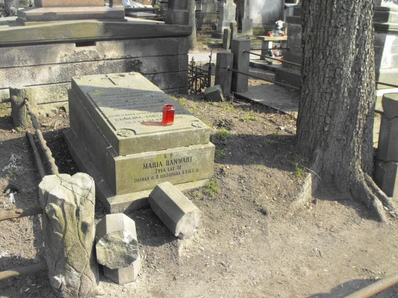 Zdjęcie grobu Ludwika Baumwart (2)