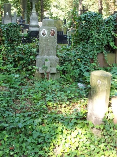 Zdjęcie grobu: Antoni Arkadjusz Opęchowski