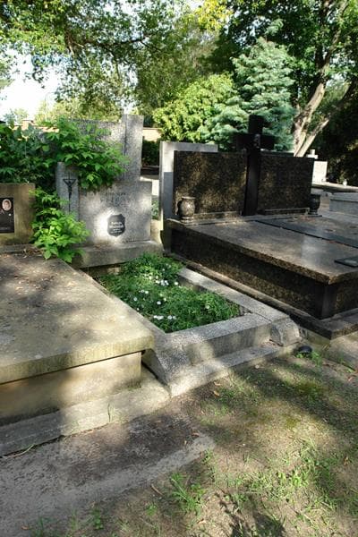 Zdjęcie grobu: Stanisław Woźniak