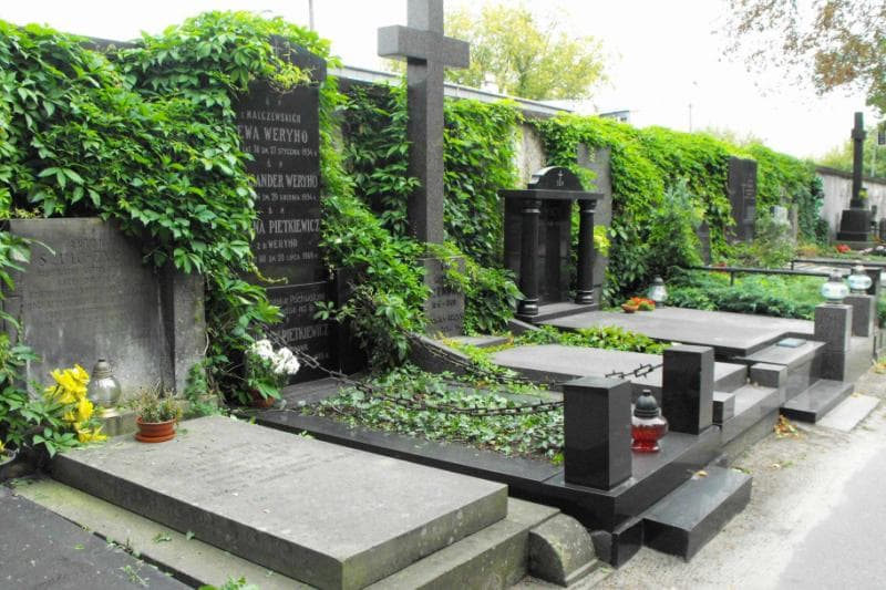 Zdjęcie grobu Stanisław Pietkiewicz (1)