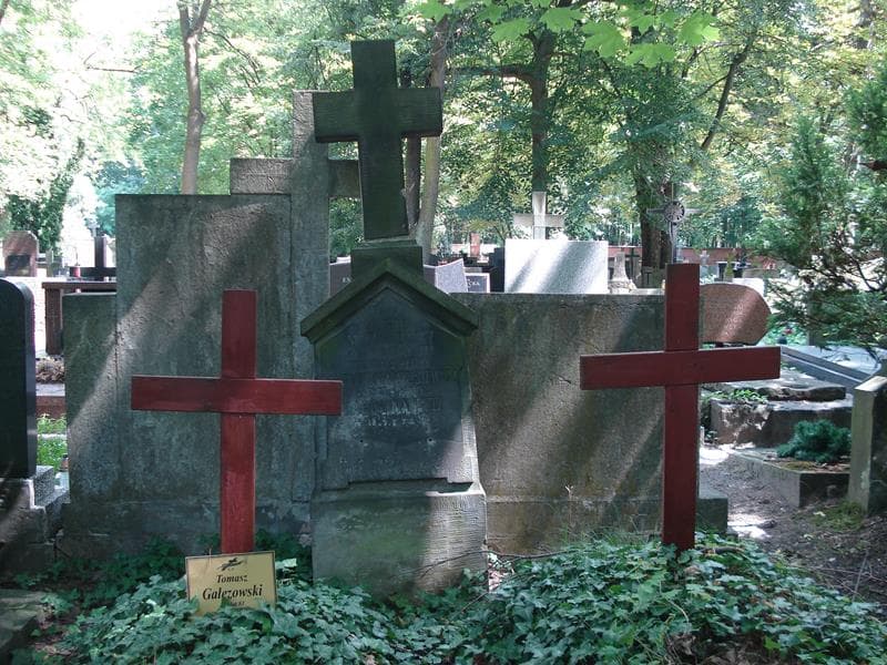 Zdjęcie grobu Karolina Petz (2)