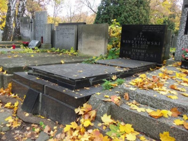Zdjęcie grobu Zygmunt Tarnowski (1)