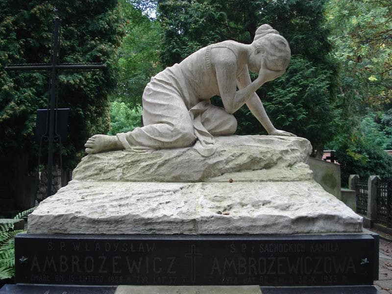 Zdjęcie grobu Stefan Ambrożewicz (2)