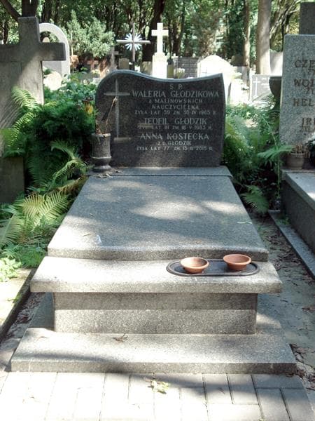 Zdjęcie grobu: Teofil Głodzik