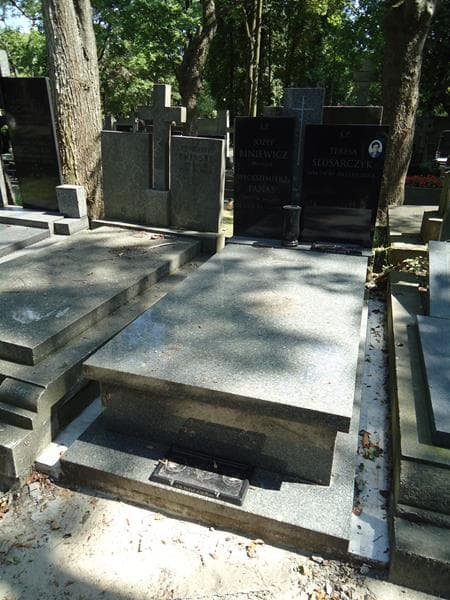 Zdjęcie grobu: Józef Biniewicz