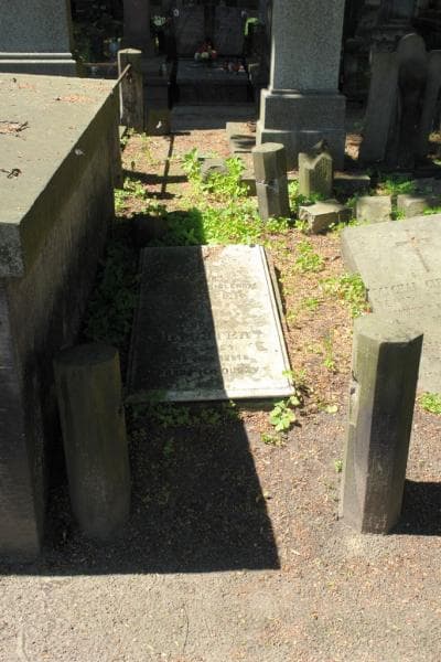 Zdjęcie grobu Ludwik Rychter (1)