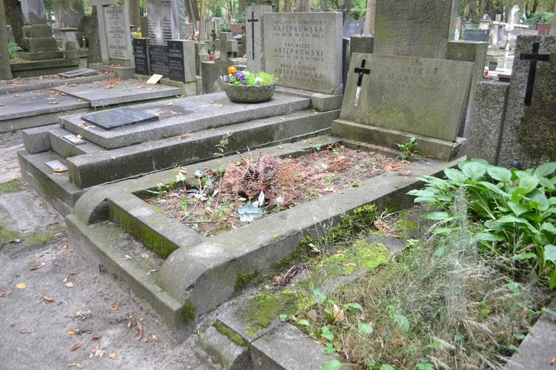 Zdjęcie grobu: Józef Gonkowski