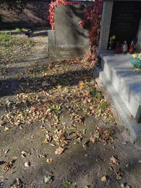 Zdjęcie grobu: Pole Grobowe