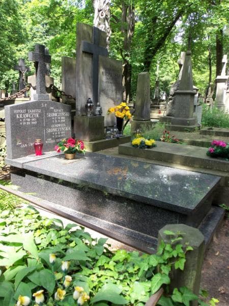 Zdjęcie grobu Witold Słomczyński (1)