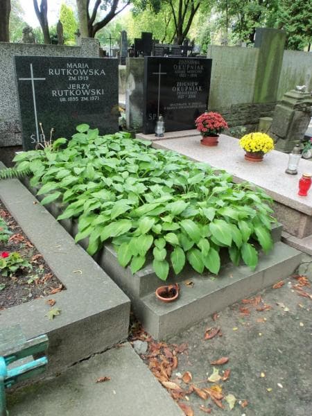 Zdjęcie grobu Jerzy Rutkowski (1)