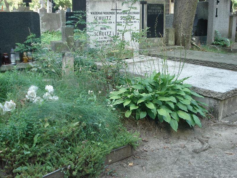 Zdjęcie grobu Tadeusz Jasionowski (1)