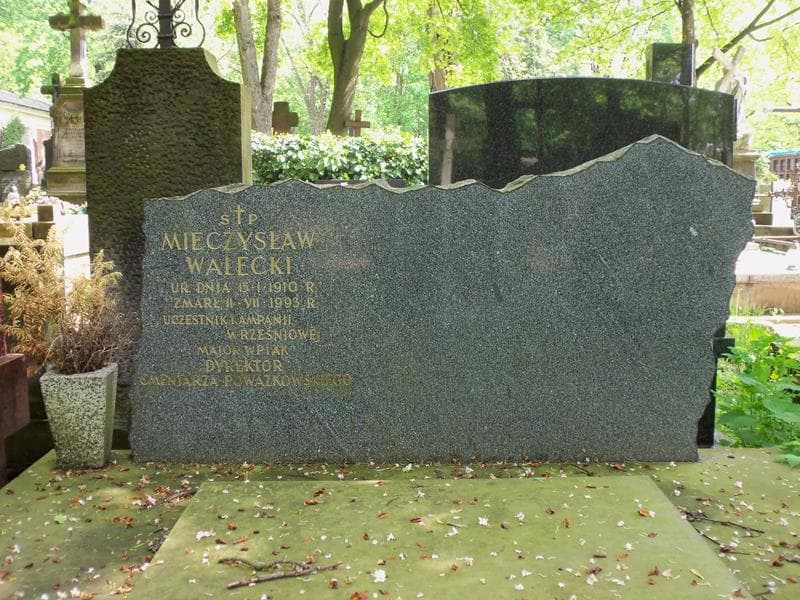 Zdjęcie grobu Mieczysław Walecki (2)