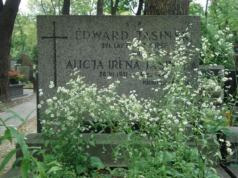 Zdjęcie grobu Alicja Irena Jasińska (2)