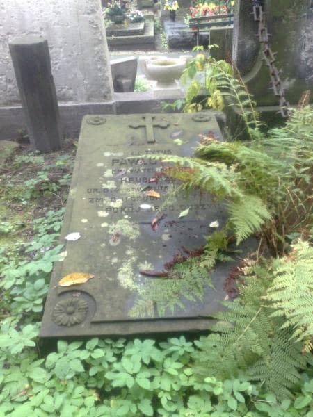 Zdjęcie grobu Tytus Pawłowski (1)