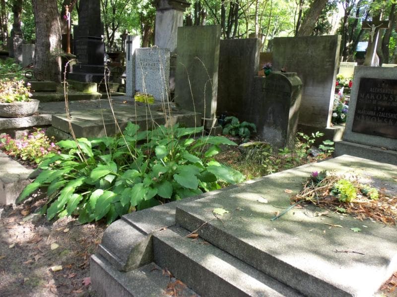 Zdjęcie grobu Zygmunt Kwiatkowski (1)