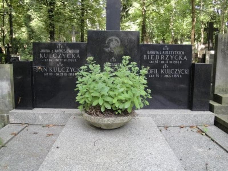 Zdjęcie grobu Jan Kulczycki (2)
