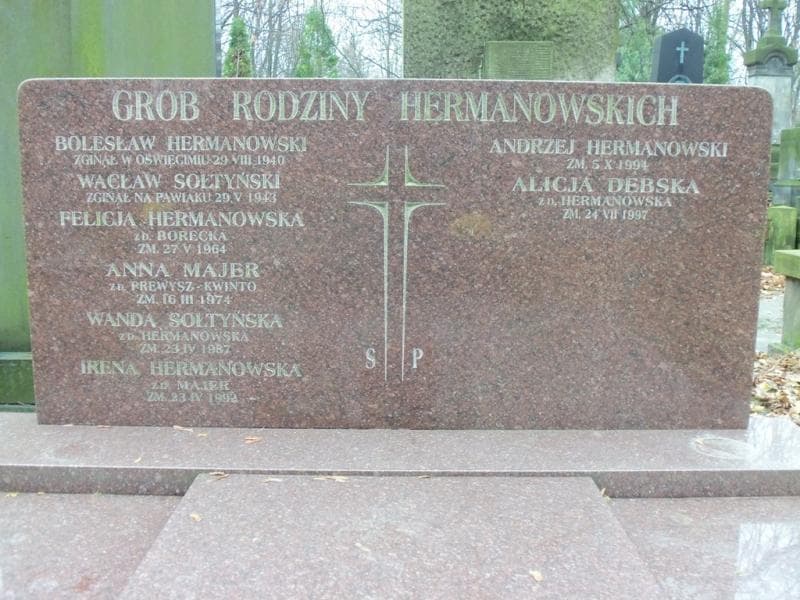 Zdjęcie grobu Bolesław Hermanowski (2)