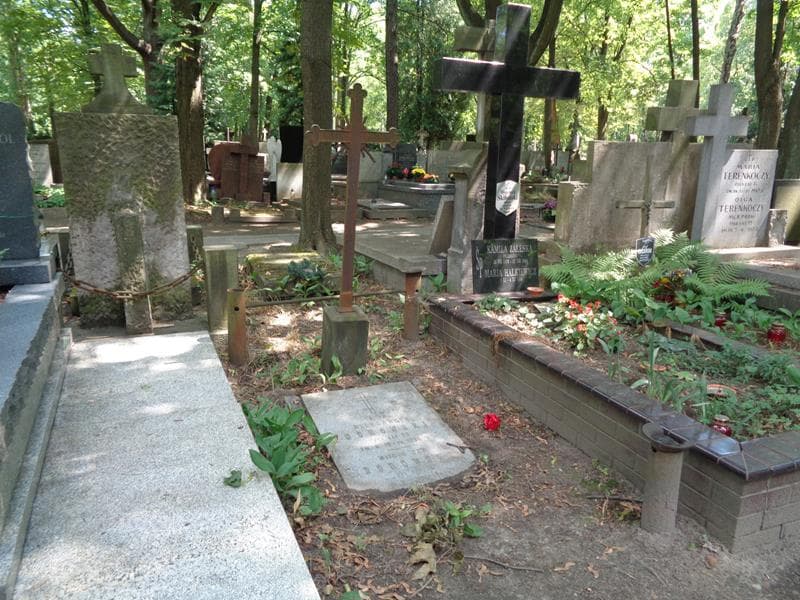 Zdjęcie grobu: Aleksander Borowski
