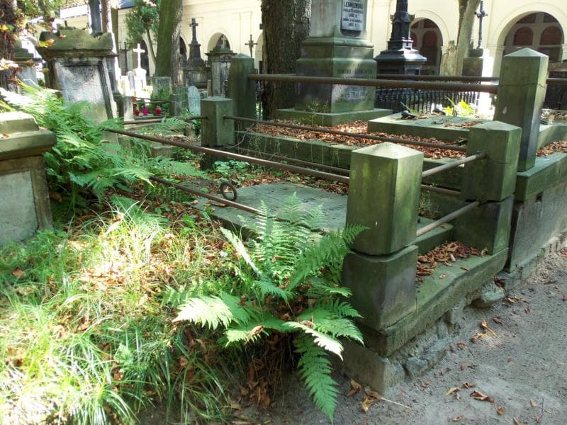Zdjęcie grobu Mikołaj Ciszewski (1)