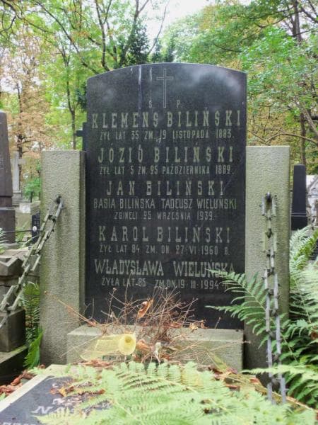 Zdjęcie grobu Jan Biliński (2)