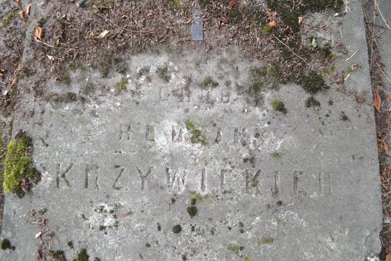 Zdjęcie grobu Krzywiccy (2)