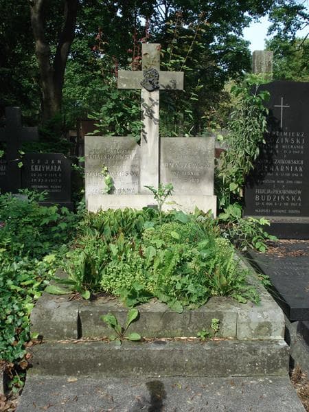 Zdjęcie grobu: Zygmunt Tomaszewski
