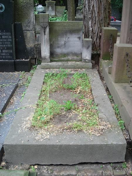 Zdjęcie grobu Edward Ludwik Treugut (1)