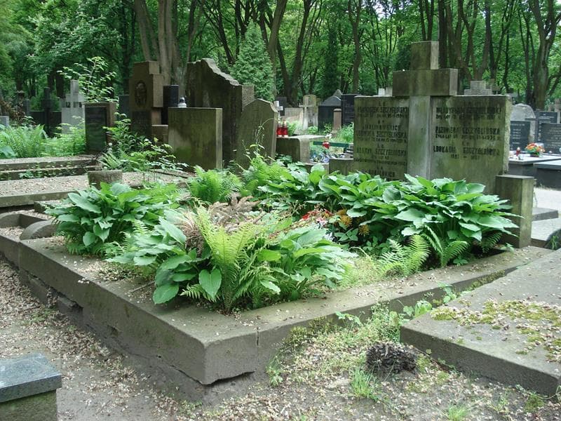 Zdjęcie grobu Ludwika Szczyglińska (1)