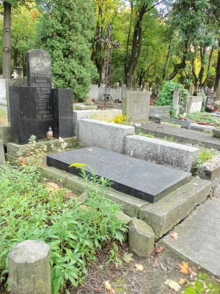 Zdjęcie grobu Wanda Cybulska (1)