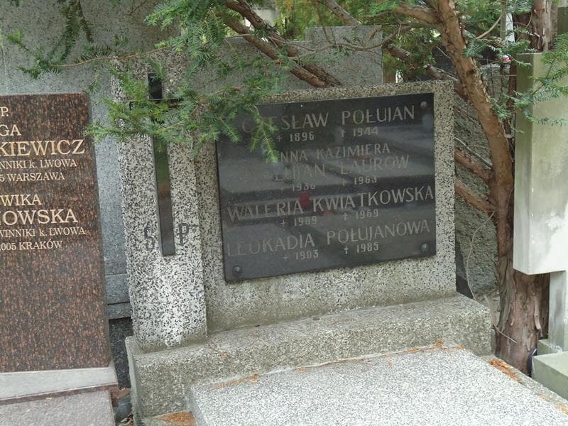 Zdjęcie grobu Waleria Kwiatkowska (2)