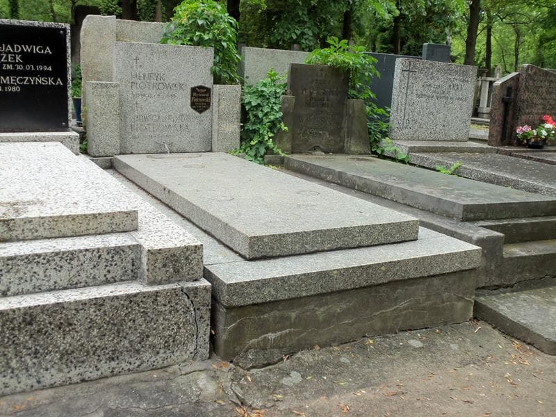 Zdjęcie grobu Henryk Piotrowski (1)