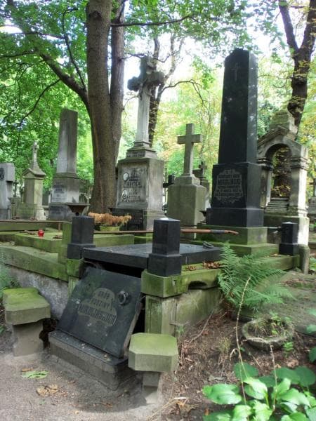 Zdjęcie grobu Konstanty Adolf Mikuliński (1)