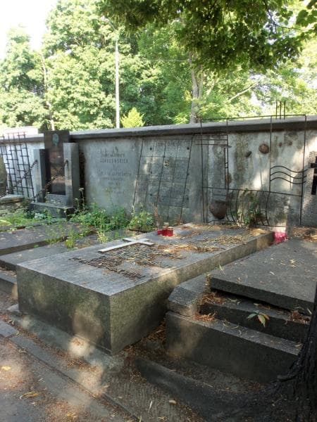 Zdjęcie grobu Kazimierz Guzik (1)