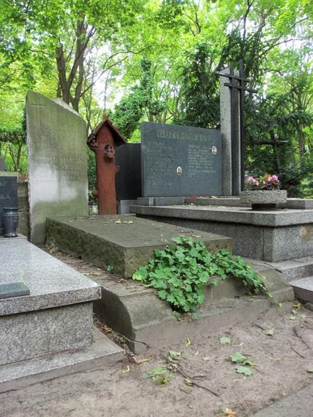 Zdjęcie grobu Witold Marcin Podgórski (1)