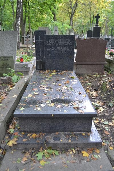 Zdjęcie grobu Regina Milewska (1)
