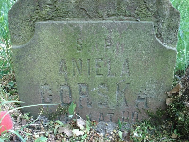 Zdjęcie grobu Aniela Górska (1)